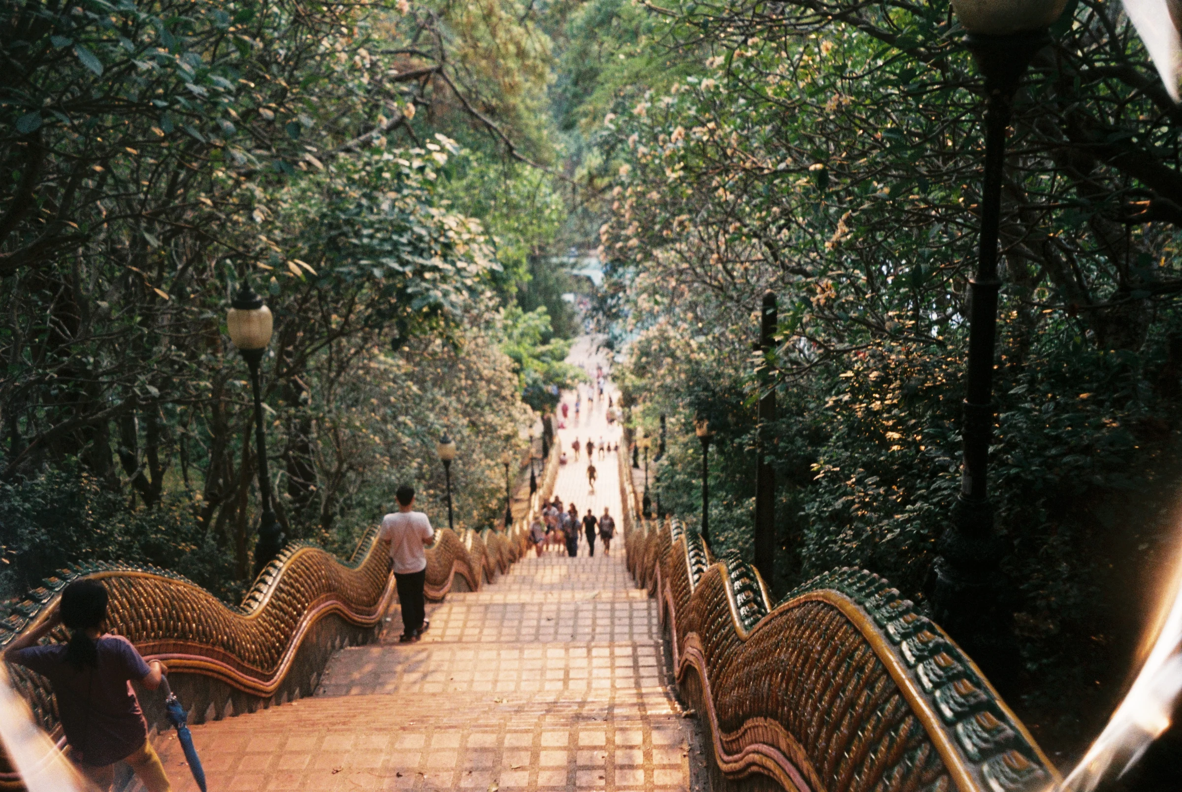 A long dragon stairway leading through trees at a Thai temple.