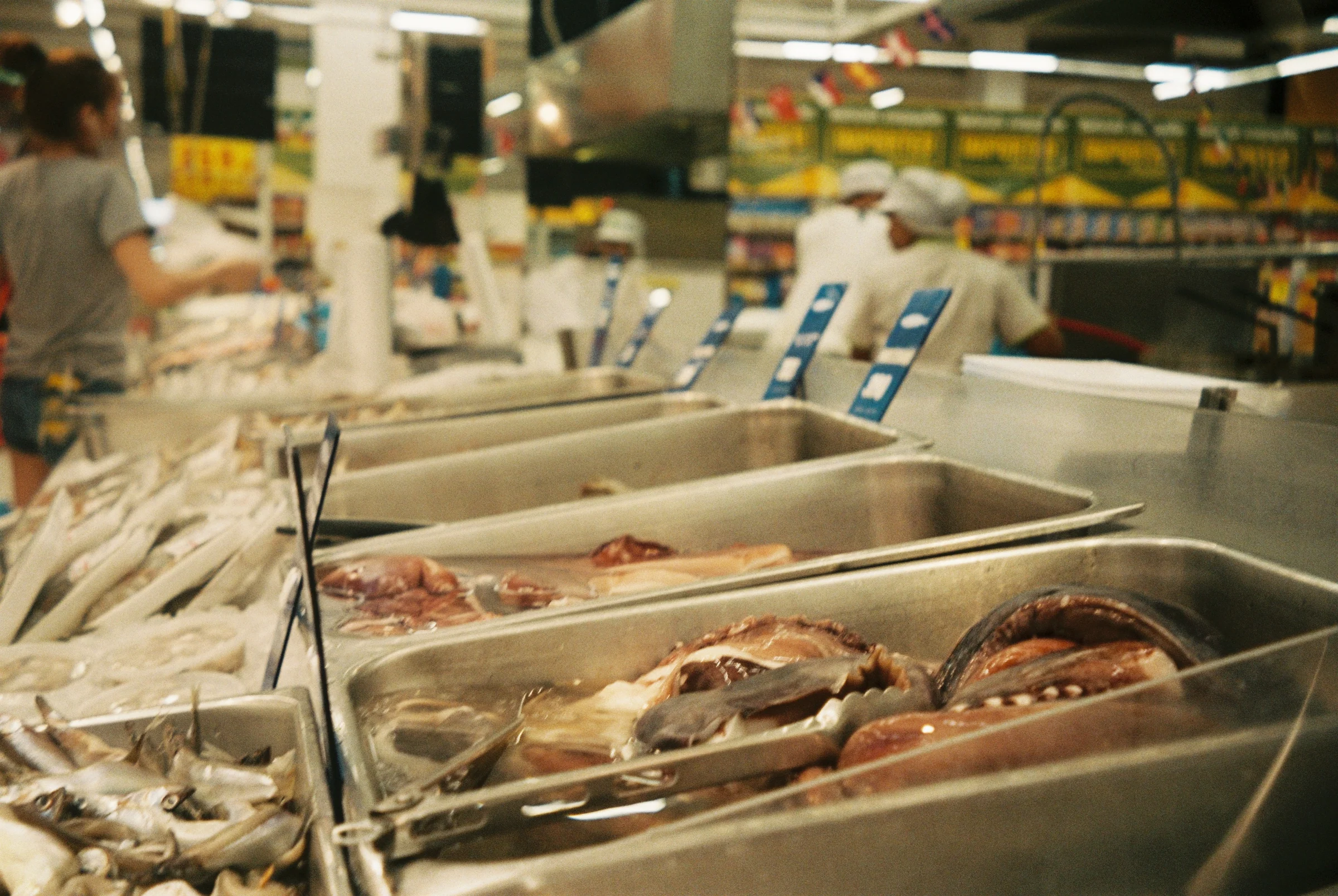 Fish and seafood displayed on a market counter in Thailand.