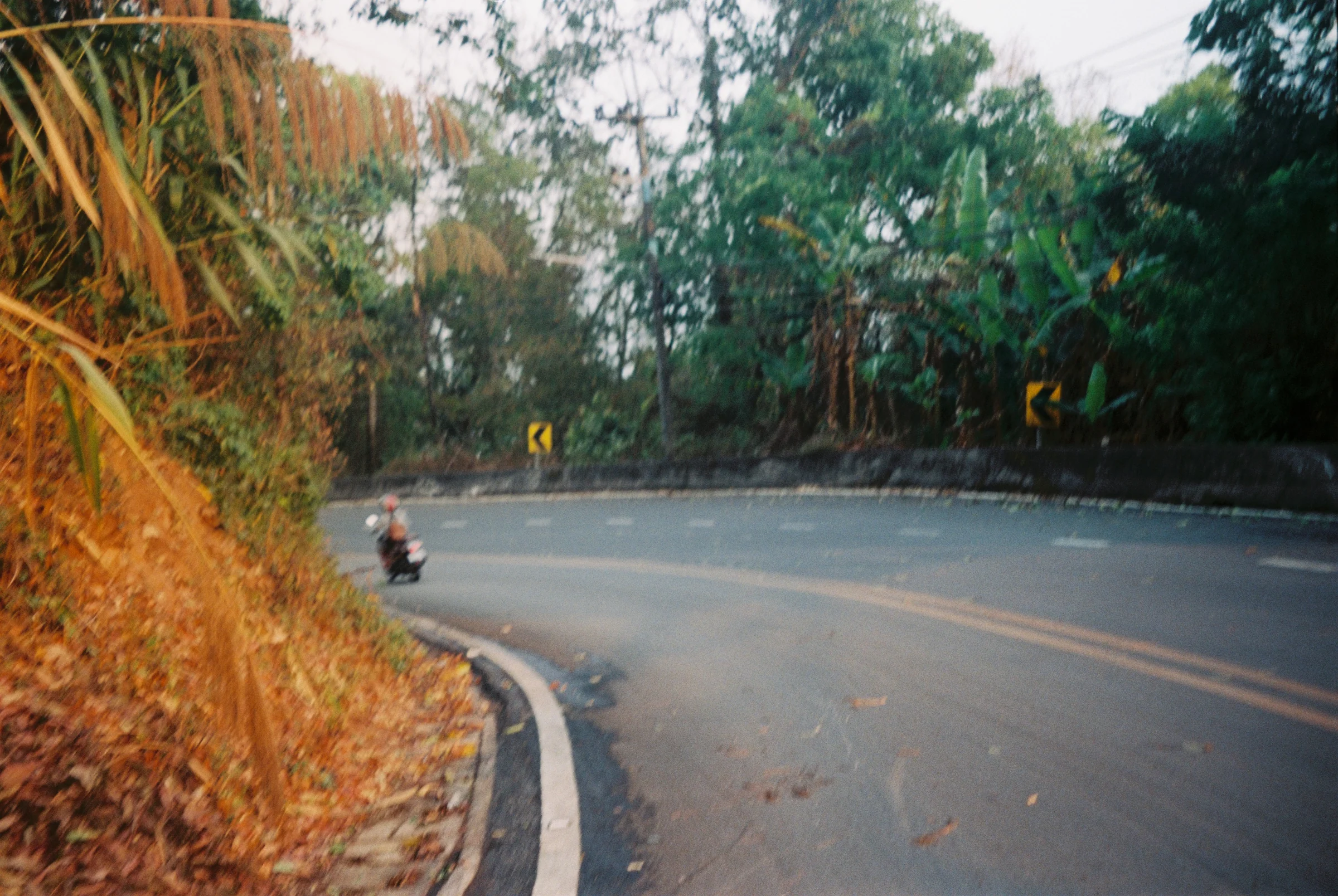 A motorbike riding along a curving forest road in Thailand.