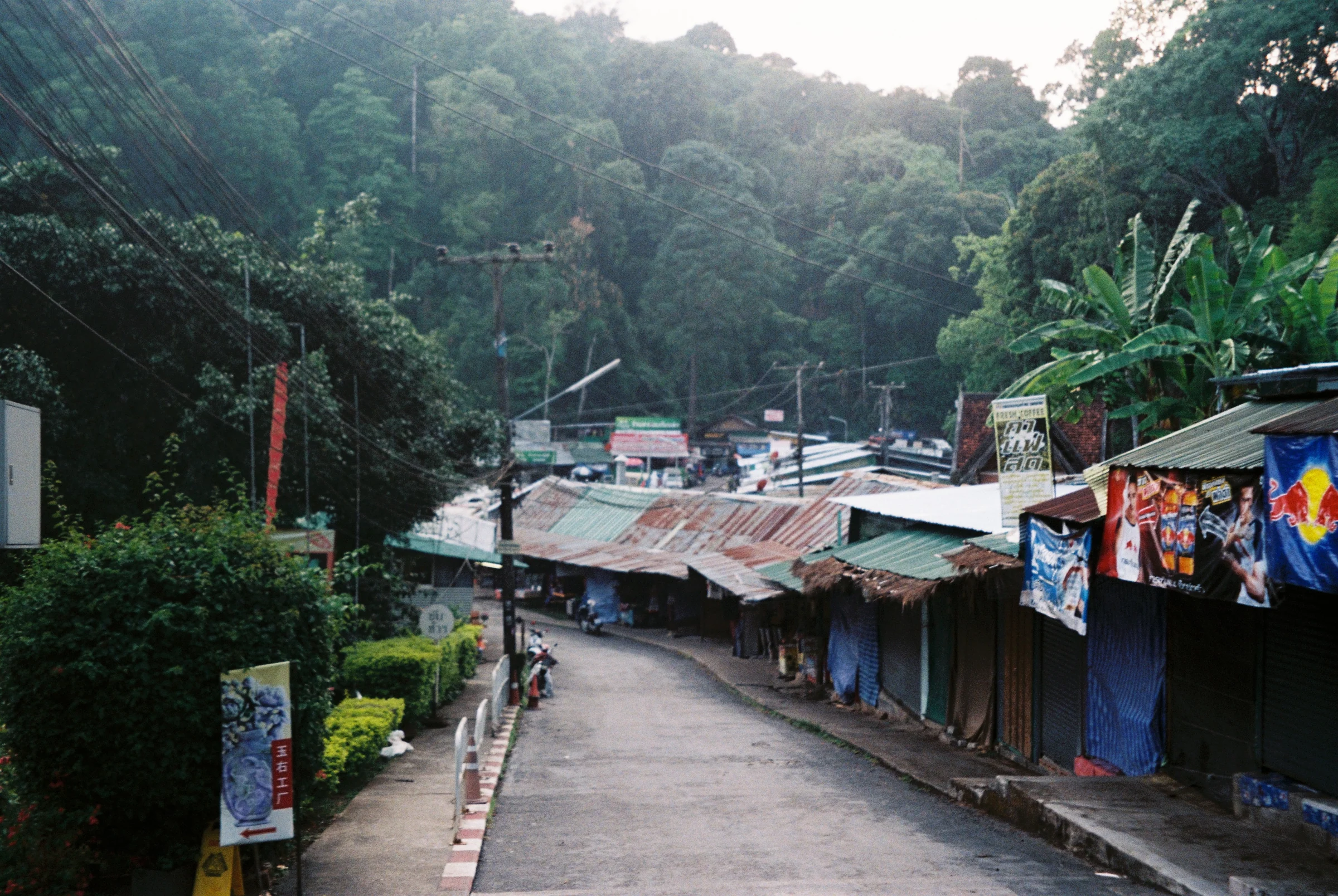 A quiet hillside road descending through green forest in Thailand.