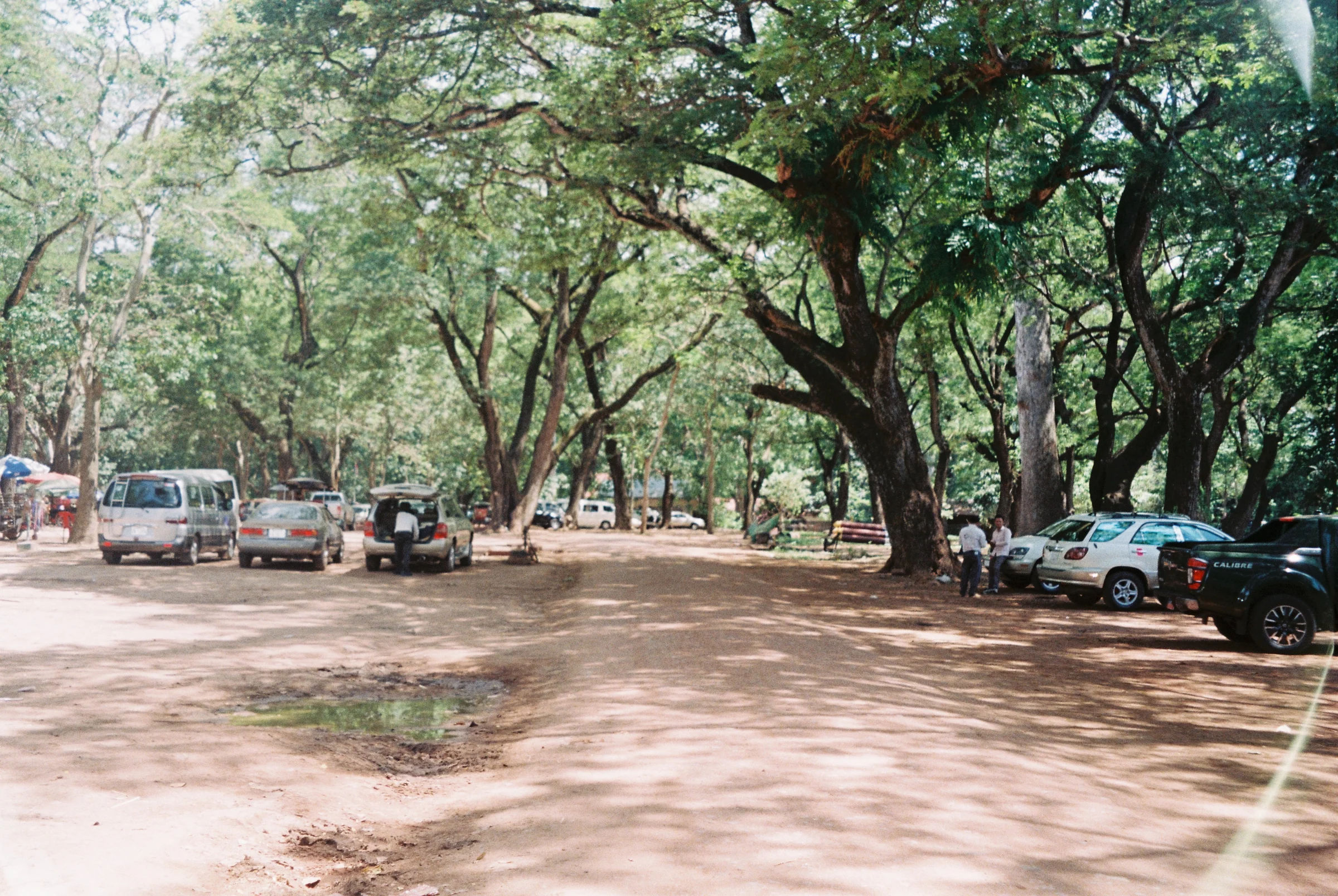A tree-lined park road with parked cars in Thailand.