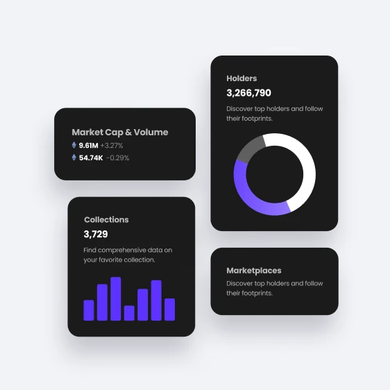 Dima Braven portfolio project 40